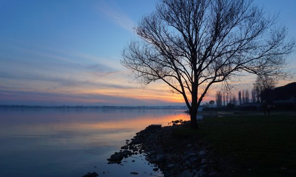 DISCOVERING LAKE TRASIMENO AND ITS ISLANDS