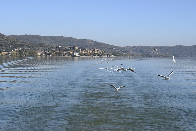 Isola maggiore